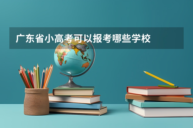 广东省小高考可以报考哪些学校